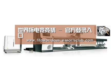 案例展示五