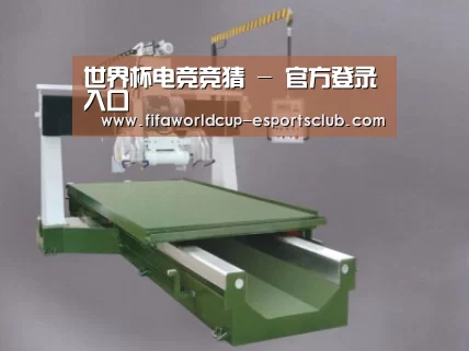 产品名称十
