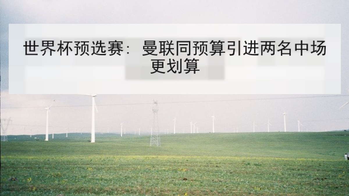 世界杯预选赛: 曼联同预算引进两名中场更划算