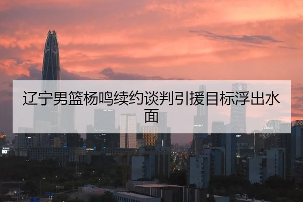 辽宁男篮杨鸣续约谈判引援目标浮出水面