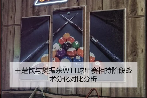 王楚钦与樊振东WTT球星赛相持阶段战术分化对比分析