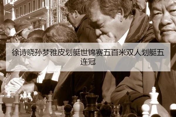 xu-shi-xiao-sun-meng-ya-pi-hua-ting-shi-jin-sai-wu-bai-mi-shuang-ren-hua-ting-wu-lian-guan-3-211.jpg