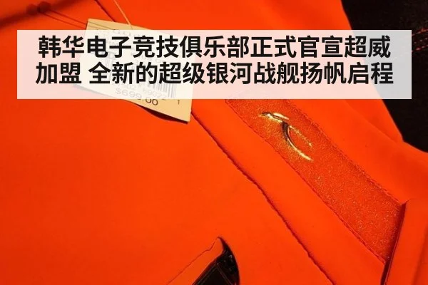 韩华电子竞技俱乐部正式官宣超威加盟 全新的超级银河战舰扬帆启程
