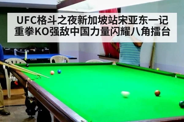 UFC格斗之夜新加坡站宋亚东一记重拳KO强敌中国力量闪耀八角擂台