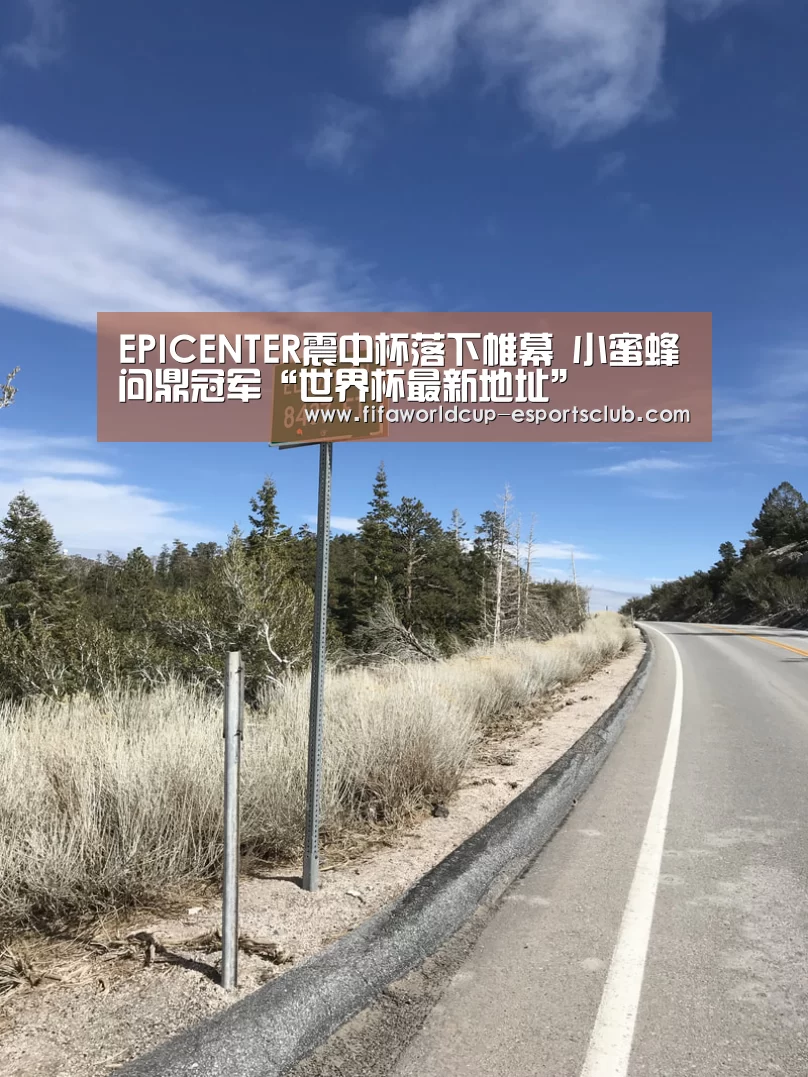 EPICENTER震中杯落下帷幕 小蜜蜂